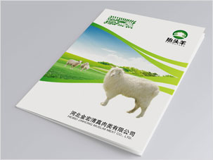 河北金宏清真肉類公司畫(huà)冊(cè)設(shè)計(jì)案例圖片