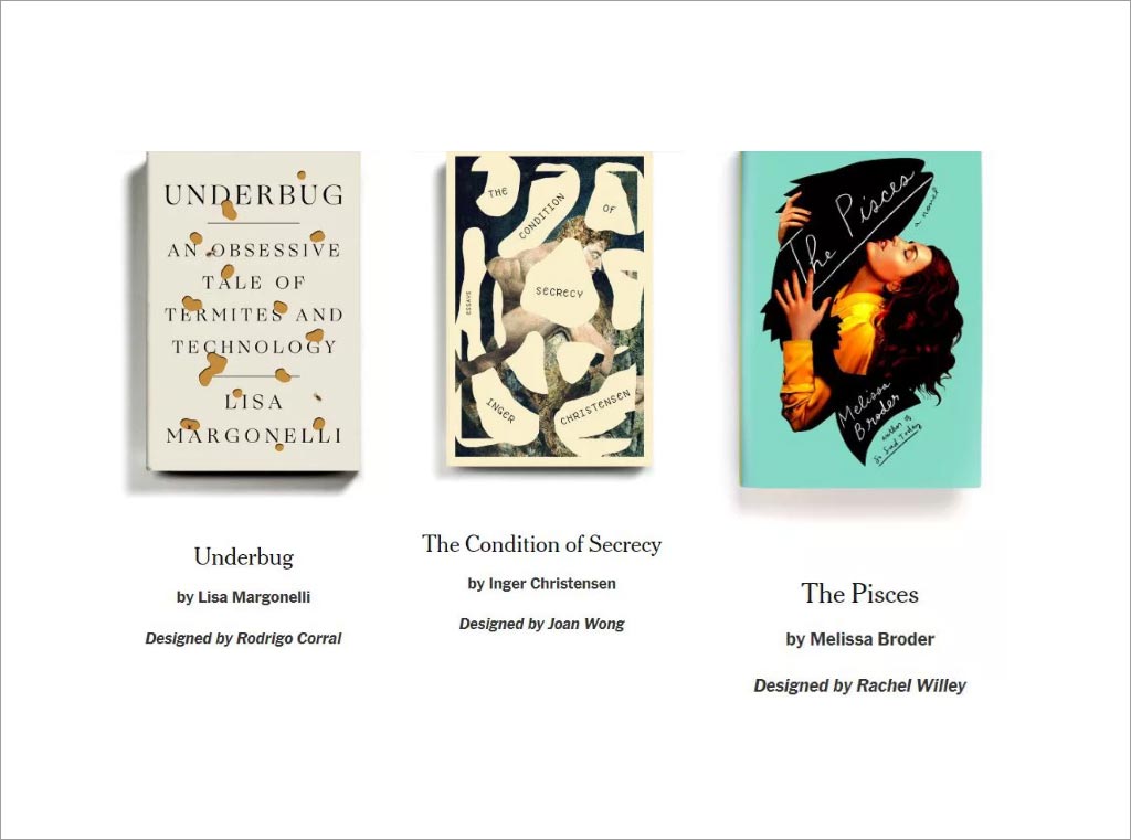 “紐約時(shí)報(bào)”最佳書(shū)籍封面設(shè)計(jì)