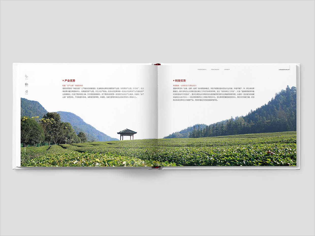 理想華萊科技集團(tuán)公司畫冊設(shè)計之產(chǎn)業(yè)優(yōu)勢頁面設(shè)計 理想華萊科技集團(tuán)公司畫冊設(shè)計之產(chǎn)業(yè)優(yōu)勢頁面設(shè)計