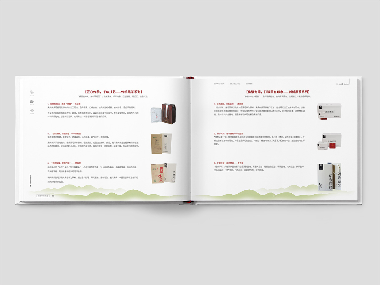 理想華萊科技集團(tuán)公司畫冊設(shè)計之產(chǎn)品介紹頁面設(shè)計 理想華萊科技集團(tuán)公司畫冊設(shè)計之產(chǎn)品介紹頁面設(shè)計